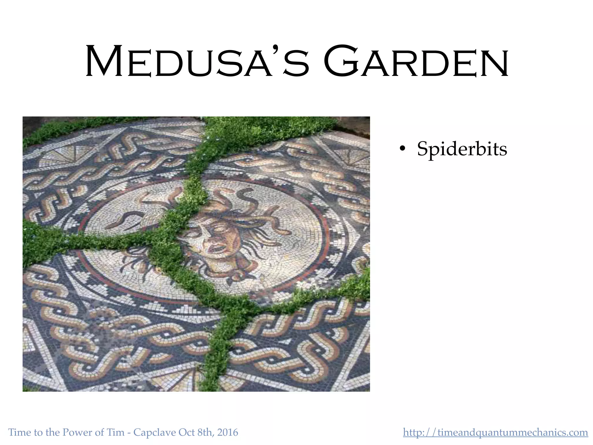 http://timeandquantummechanics.comTime to the Power of Tim - Capclave Oct 8th, 2016
Medusa’s Garden
• Spiderbits
 