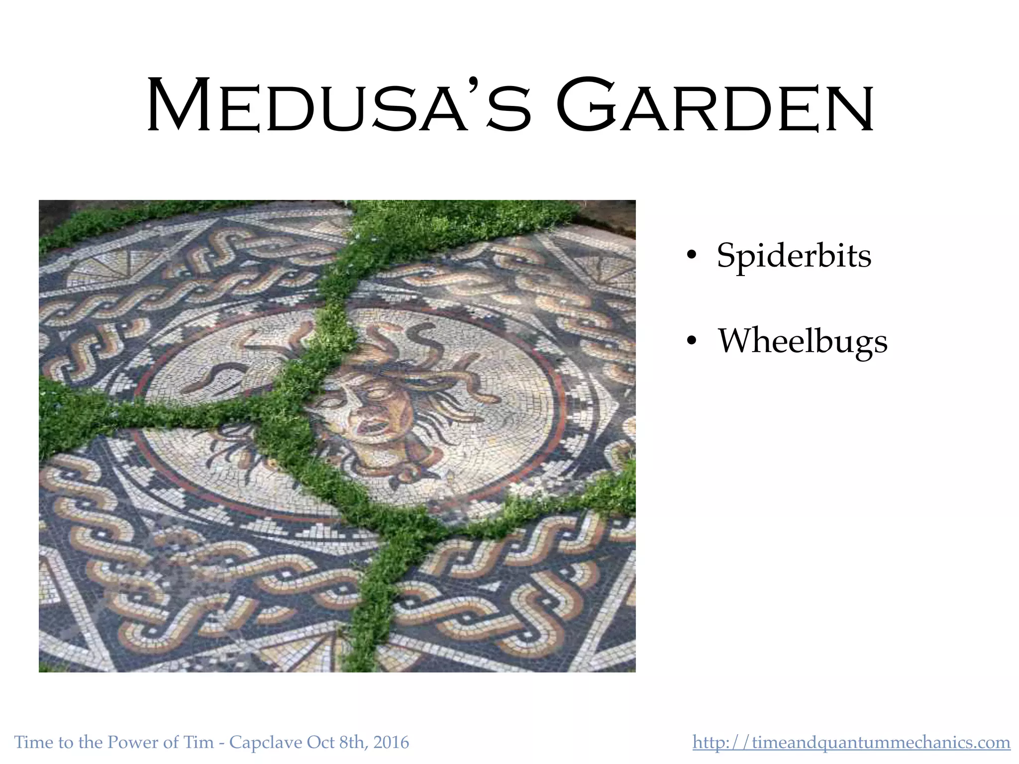 http://timeandquantummechanics.comTime to the Power of Tim - Capclave Oct 8th, 2016
Medusa’s Garden
• Spiderbits
• Wheelbugs
 