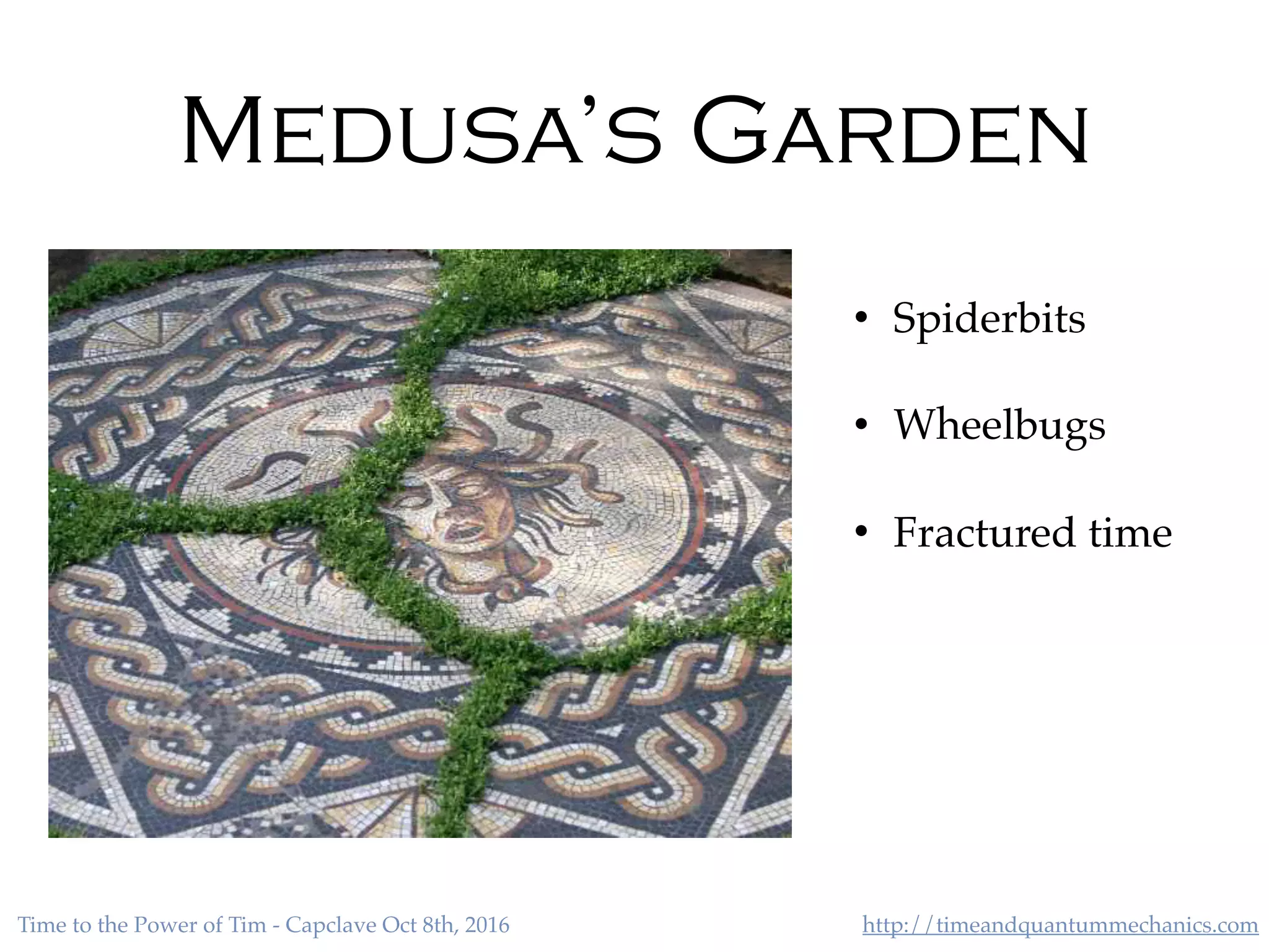 http://timeandquantummechanics.comTime to the Power of Tim - Capclave Oct 8th, 2016
Medusa’s Garden
• Spiderbits
• Wheelbugs
• Fractured time
 