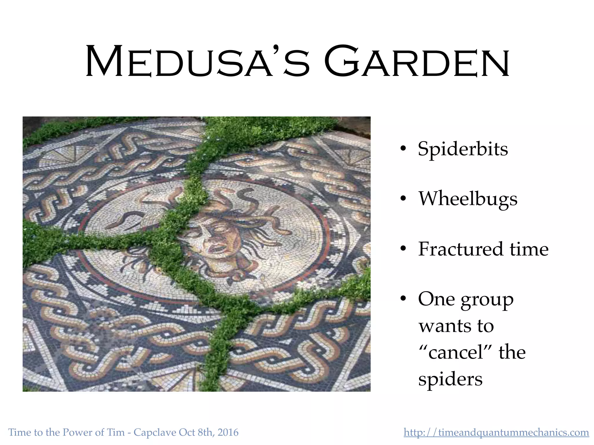http://timeandquantummechanics.comTime to the Power of Tim - Capclave Oct 8th, 2016
Medusa’s Garden
• Spiderbits
• Wheelbugs
• Fractured time
• One group
wants to
“cancel” the
spiders
 