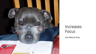 Increases
Focus
Less likely to stray
 