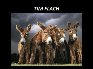 TIM FLACH
 