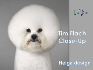 Tim Flach Close-Up Helga design 