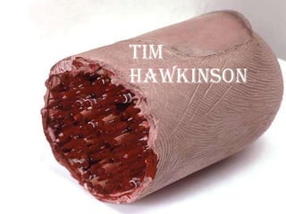 TIM HAWKINSON   