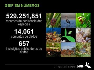 GBIF EM NÚMEROS
529,251,851
recordes da ocorrência das
espécies
14,061
conjuntos de dados
657
insituições publicadores de
dados
• http://www.gbif.org | 01 APR 2015
 
