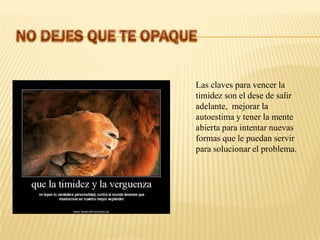 Las claves para vencer la
timidez son el dese de salir
adelante, mejorar la
autoestima y tener la mente
abierta para intentar nuevas
formas que le puedan servir
para solucionar el problema.
 