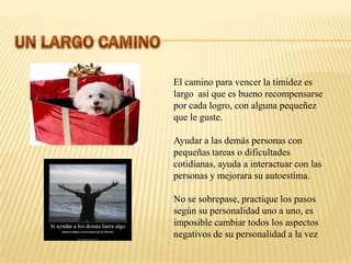 El camino para vencer la timidez es
largo así que es bueno recompensarse
por cada logro, con alguna pequeñez
que le guste.

Ayudar a las demás personas con
pequeñas tareas o dificultades
cotidianas, ayuda a interactuar con las
personas y mejorara su autoestima.

No se sobrepase, practique los pasos
según su personalidad uno a uno, es
imposible cambiar todos los aspectos
negativos de su personalidad a la vez
 