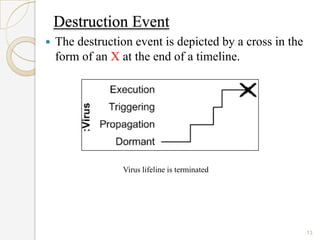 Destruction Event
   The destruction event is depicted by a cross in the
    form of an X at the end of a timeline.




                 Virus lifeline is terminated




                                                          13
 
