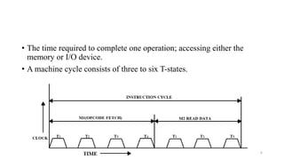 Timing Diagram.pptx | Genetics | Science