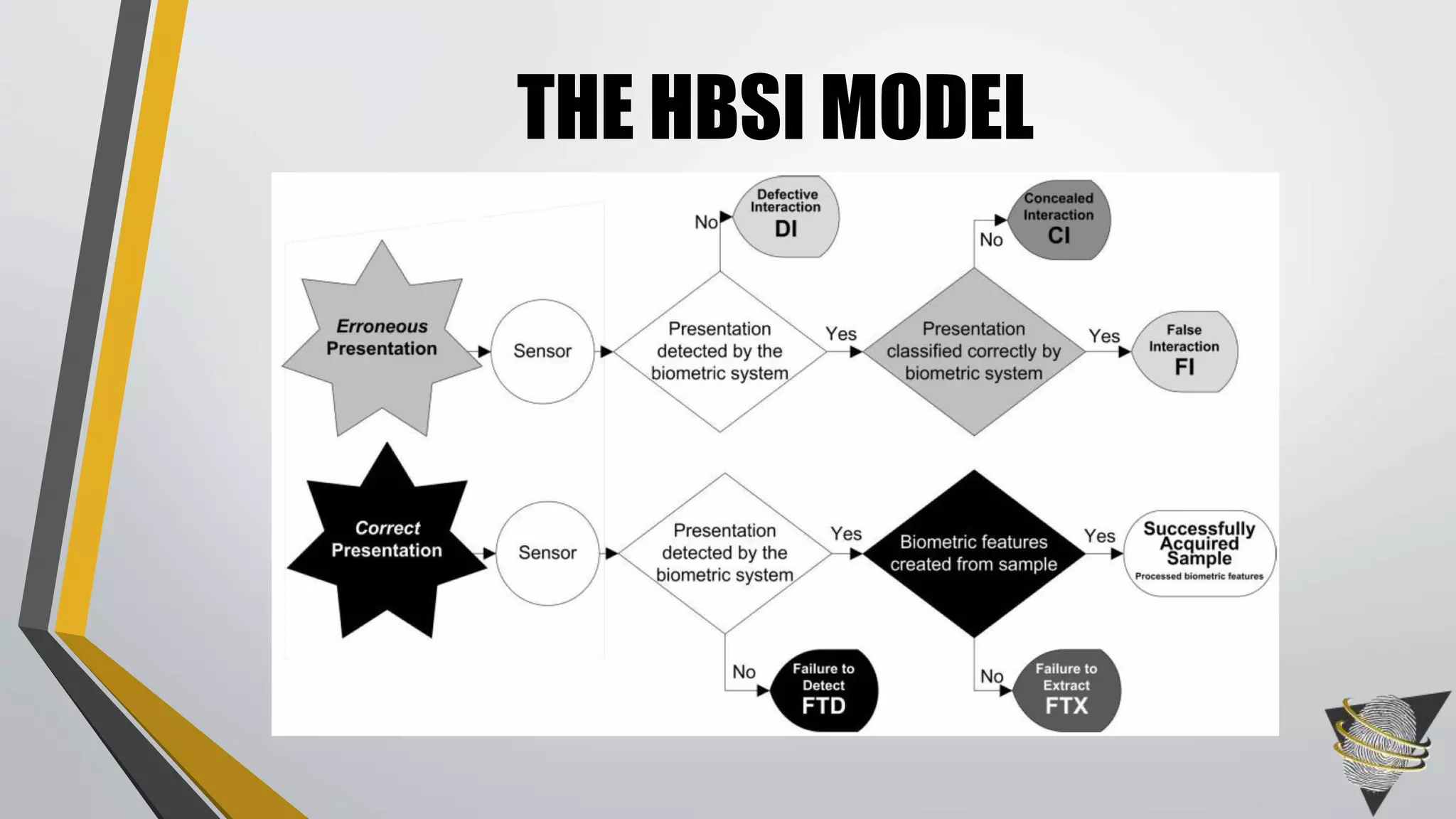 THE HBSI MODEL
 