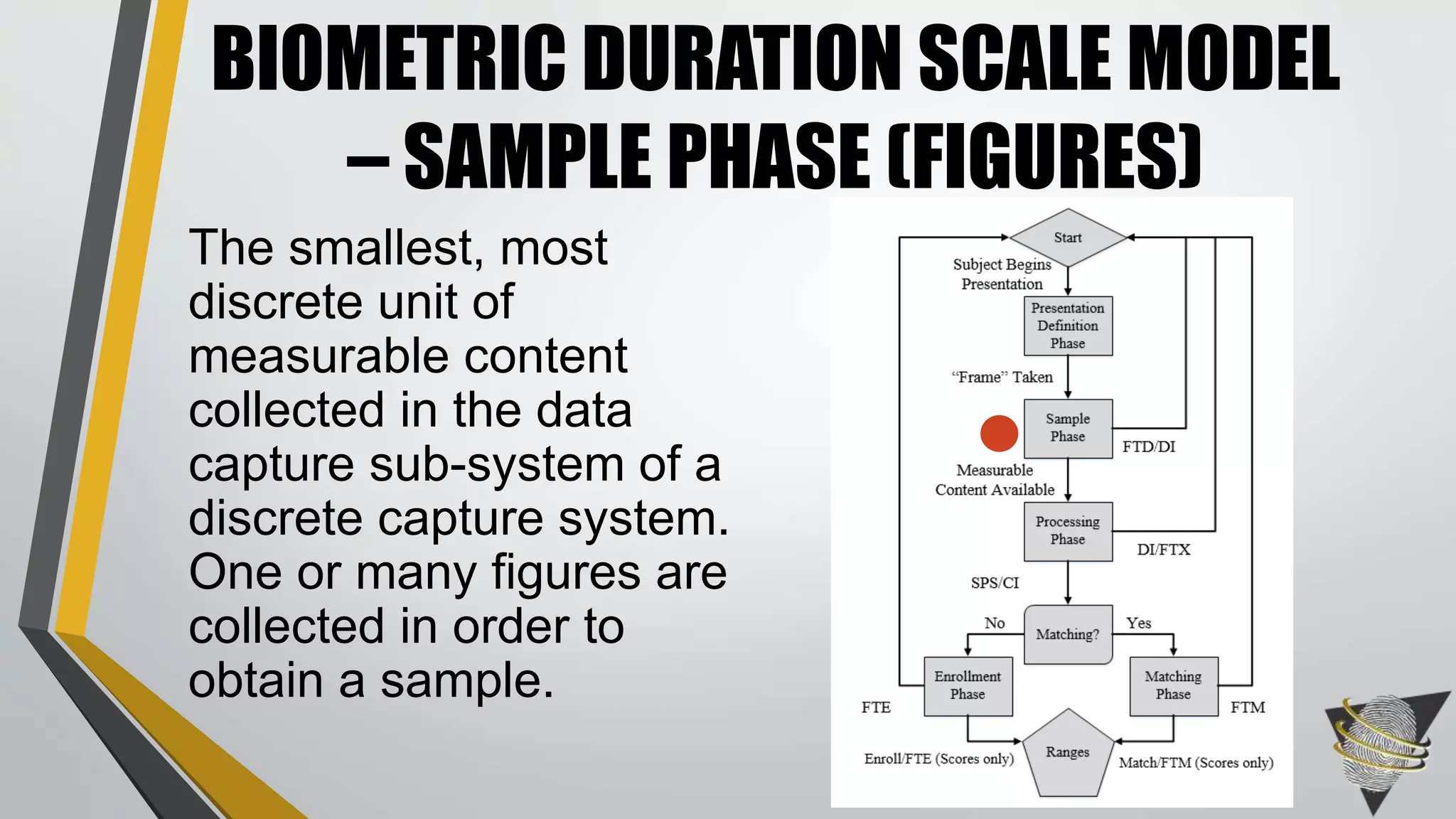 The smallest, most
discrete unit of
measurable content
collected in the data
capture sub-system of a
discrete capture system.
One or many figures are
collected in order to
obtain a sample.
BIOMETRIC DURATION SCALE MODEL
– SAMPLE PHASE (FIGURES)
 