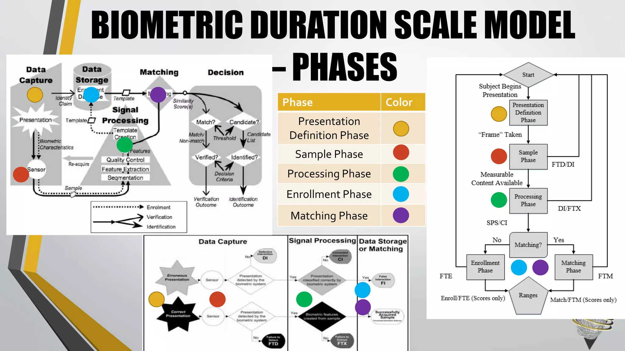 BIOMETRIC DURATION SCALE MODEL
– PHASES
Phase Color
Presentation
Definition Phase
Sample Phase
Processing Phase
Enrollment Phase
Matching Phase
 