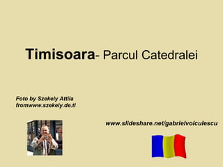 Timisoara - Parcul Catedralei www.slideshare.net/gabrielvoiculescu Foto by Szekely Attila fromwww.szekely.de.tl 