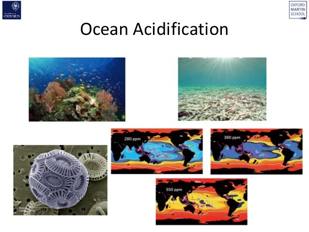 Natural Greenhouse Gas Removal Natural Greenhouse Gas Removal
