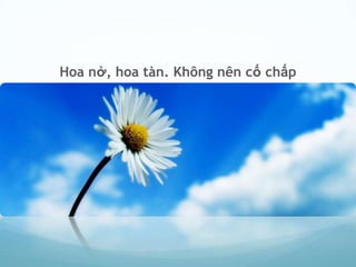 Hoa nở, hoa tàn. Không nên cố chấp
 