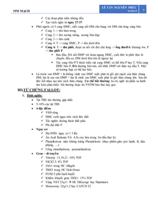 TIM MẠCH 7
LÊ TẤN NGUYÊN PHÚC
Y13D-19
 Các đoạn phát triển không đều
 Tạo vách ngăn từ ngày 27-37
 Phôi người có 5 cung ĐMC, mỗi cung nối ĐM chủ bụng với ĐM chủ lưng cùng bên
 Cung 1 -> đm hàm trong
 Cung 2 -> đm xương móng, xương bàn đạp
 Cung 3 -> đm cảnh
 Cung 4: T -> cung ĐMC, P -> đm dưới đòn
 Cung 6: T -> đm phổi, đoạn xa nối với đm chủ lưng -> ống đm-DA khoảng 6w, P
-> đm phổi P
 Ban đầu, DA nối ĐMP với đoạn ngang ĐMC, cuối thời kì phôi thai di
chuyển đến eo, ĐM dưới đòn trái đi ngược lại.
 Tùy cung bên P/T thoái triển mà cung ĐMC có thể bên P hay T. Nếu cung
ĐMC bên P, DA thường bên trái, nối đỉnh ĐMP với thân tay đầu T. Một
số trường hợp có thể hai bên.
 Lá trước van ĐMP + lá không vành van ĐMC xuất phát từ gối nội mạch của thân chung
ĐM, hai lá sau van ĐMP + hai lá vành van ĐMC xuất phát từ gối thân chung lớn. Sau đó
liên kết nhau tạo nên vách thân chung. Cơ chế bất thường: ko rõ, nghĩ do phần xa hành
tim kém phát triển/ bất thường hoặc do VNTM bào thai hay gen.
III)TỨ CHỨNG FALLOT:
1. Định nghĩa:
 Tật TBS tím thường gặp nhất.
 5-10% các tật TBS
 4 đặc điểm:
 VSD rộng
 ĐMC cưỡi ngựa trên vách liên thất
 Tắc nghẽn đường thoát thất phải
 Phì đại thất P
 Nguy cơ:
 Mẹ ĐTĐ: nguy cơ ↑ 3 lần
 Ăn Acid Retionic-Vit A bị oxy hóa trong 3m đầu thai kỳ
 Phenylketone niệu không kiêng Phenylalanie (thực phẩm giàu pro: hạnh, lê, đậu
phộng, …)
 Uống trimethadione, paramethadione
 Gene – di truyền:
 Trisomy 13,18,21: 10% TOF
 NKX2.5: 4% TOF
 JAG1 trong HC Allagile
 TBX5 trong HC Holt-Oram
 FOXC2 phù bạch huyết
 Khiếm khuyết gene TBX1: 15% TOF
 Vùng NST 22q11  HC DiGeorge hay Shprintzen
 Monosomy 22q11.2 hay CATCH 22
 