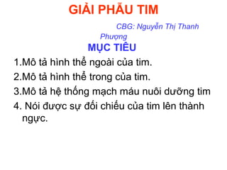GIẢI PHẪU TIM
CBG: Nguyễn Thị Thanh
Phượng
MỤC TIÊU
1.Mô tả hình thể ngoài của tim.
2.Mô tả hình thể trong của tim.
3.Mô tả hệ thống mạch máu nuôi dưỡng tim
4. Nói được sự đối chiếu của tim lên thành
ngực.
 