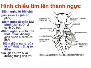 Hình chiếu tim lên thành ngực
-Điểm nghe lỗ ĐM chủ
gian sườn 2 cạnh ức
phải,
-Điểm nghe lỗ thân ĐM
phổi: gian sườn 2
cạnh ức trái.
-Điểm nghe của lỗ nhĩ
thất phải: khoang
gian sườn 5 cạnh ức
phải
- Điểm điểm nghe của
lỗ nhĩ thất trái: giao
điểm
của gian sườn 5 và
đường trung đòn trái
 