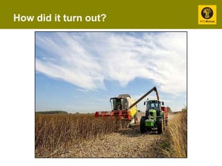 How did it turn out? 
 