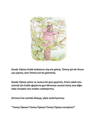 TIMMY TIPTOES HİKAYESİ