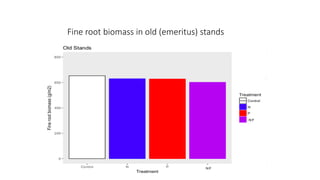 Fine root biomass in old (emeritus) stands
 