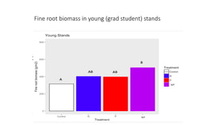Fine root biomass in young (grad student) stands
 
