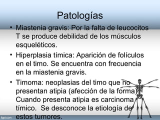 Patologías
• Miastenia gravis: Por la falta de leucocitos
T se produce debilidad de los músculos
esqueléticos.
• Hiperplasia tímica: Aparición de folículos
en el timo. Se encuentra con frecuencia
en la miastenia gravis.
• Timoma: neoplasias del timo que no
presentan atipia (afección de la forma).
Cuando presenta atipia es carcinoma
tímico. Se desconoce la etiología de
estos tumores.
 