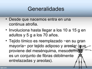 Generalidades
• Desde que nacemos entra en una
continua atrofia.
• Involuciona hasta llegar a los 10 a 15 g en
adultos y 5 g a los 70 años.
• Tejido tímico es reemplazado −en su gran
mayoría− por tejido adiposo y areolar (que
proviene del mesénquima, mesodermo y
es un conjunto de fibras débilmente
entrelazadas y areolas).
 
