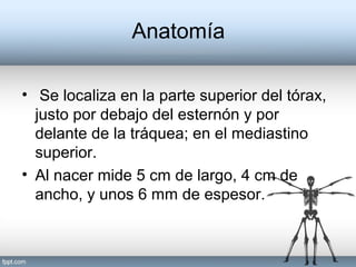 Anatomía
• Se localiza en la parte superior del tórax,
justo por debajo del esternón y por
delante de la tráquea; en el mediastino
superior.
• Al nacer mide 5 cm de largo, 4 cm de
ancho, y unos 6 mm de espesor.
 