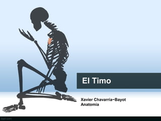 El Timo
Xavier Chavarría−Bayot
Anatomía
 