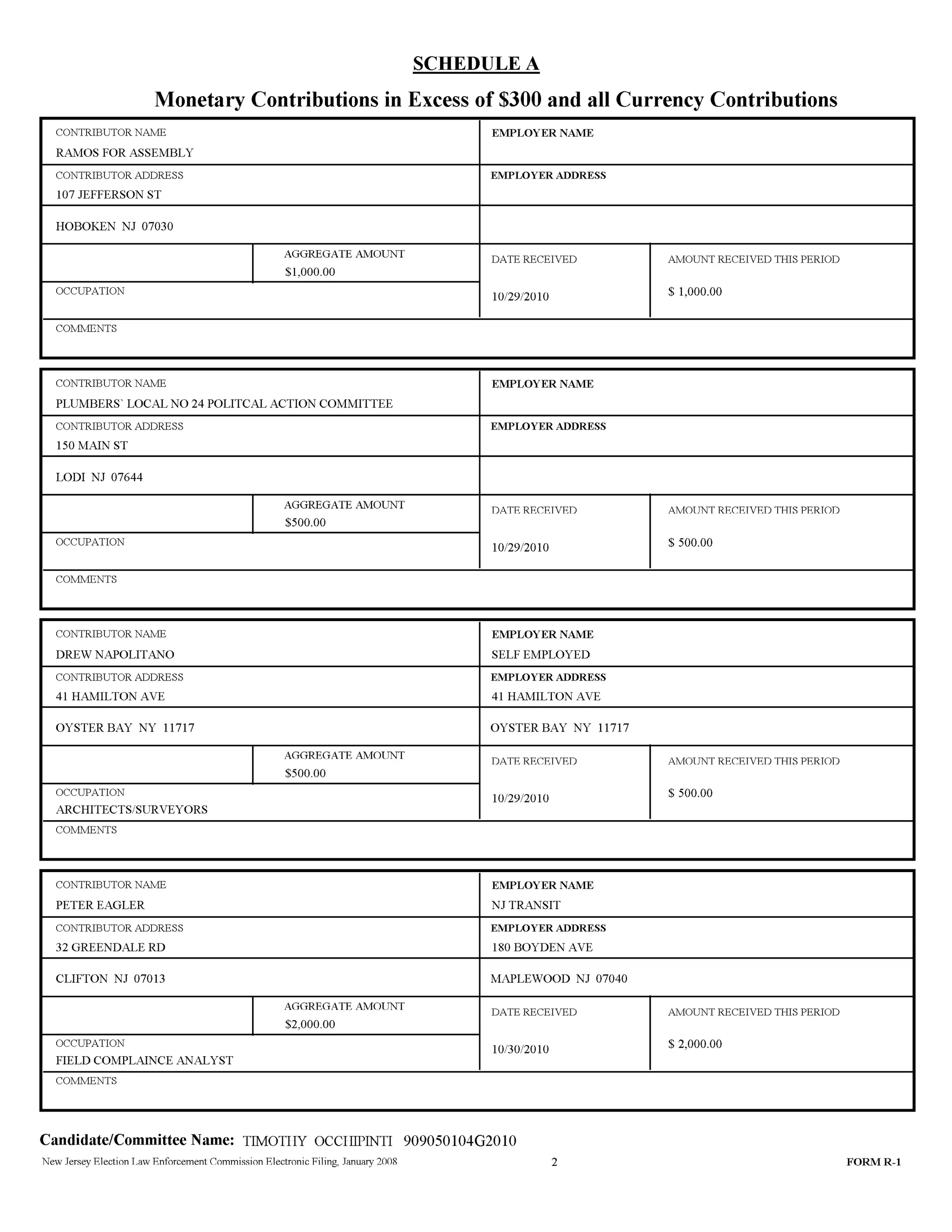 Tim Occhipinti Elec report 11-23-2010