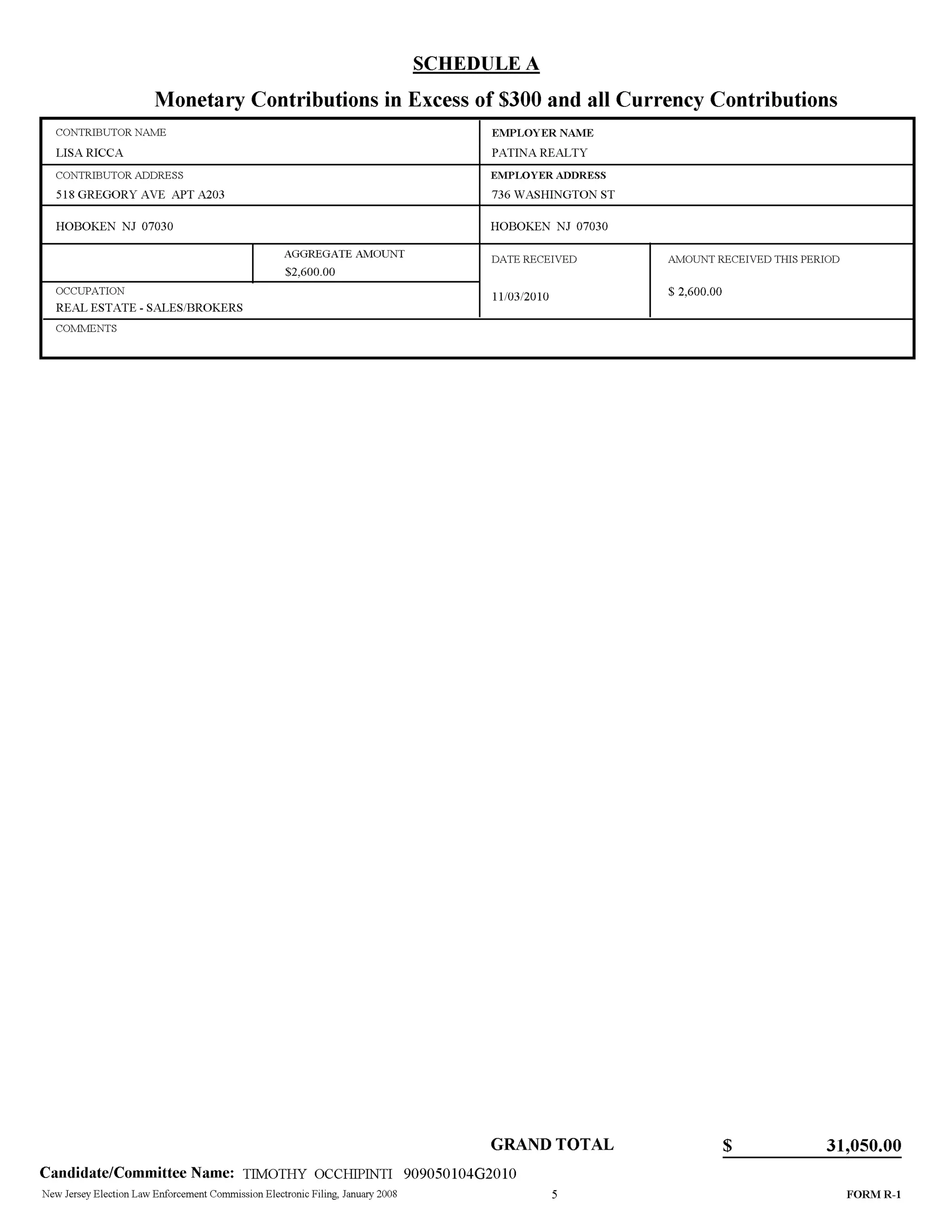 Tim Occhipinti Elec report 11-23-2010
