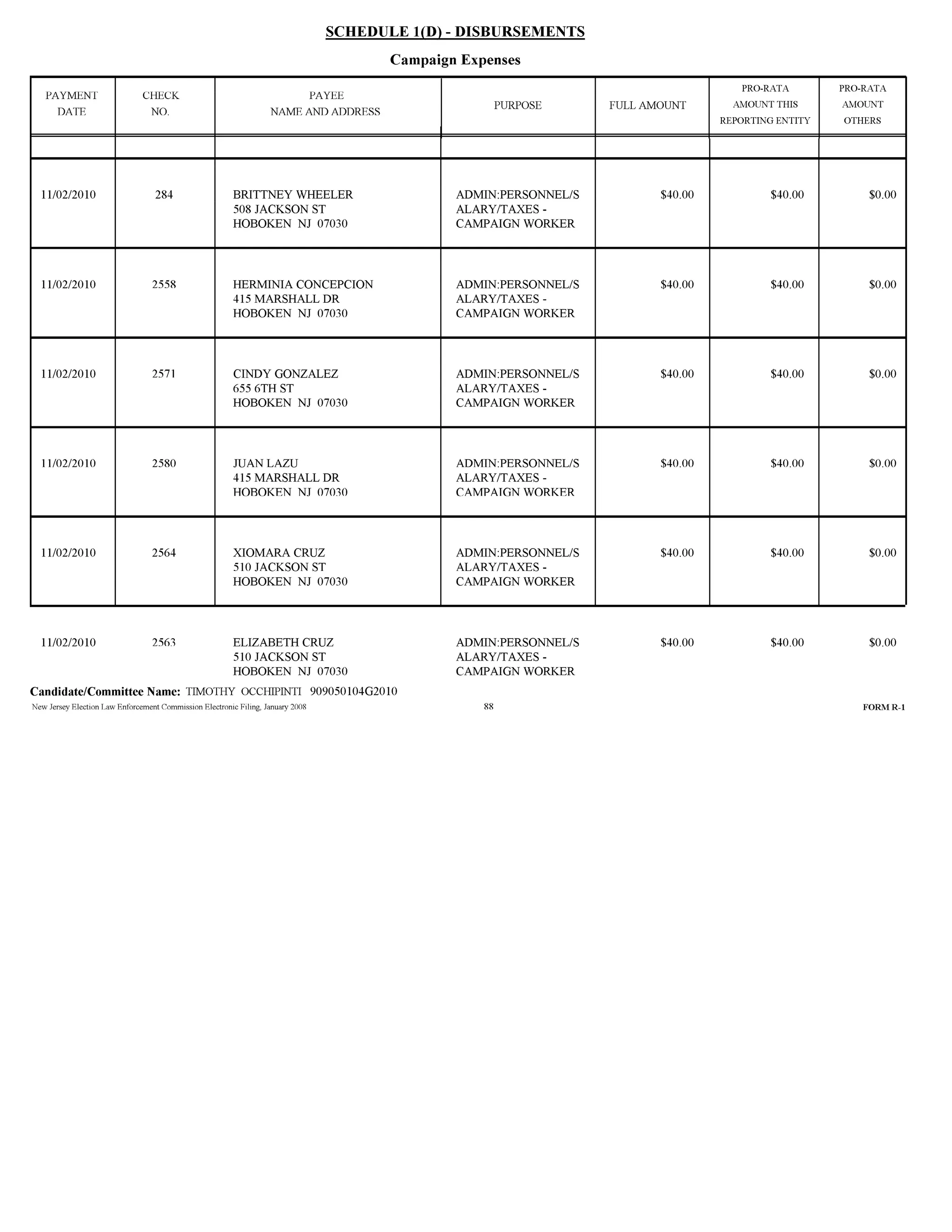 Tim Occhipinti Elec report 11-23-2010