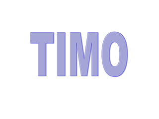 TIMO 