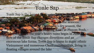 Tonle Sap
Tonlé Sap is the largest freshwater lake in South East
Asia and is of major importance to Cambodia. The lake
expands and shrinks dramatically with the seasons.
From November to May, Cambodia’s dry season, the
Tonlé Sap drains into the Mekong River at Phnom Penh.
However, when the year’s heavy rains begin in June, the
flow of the Tonlé Sap changes directions and an
enormous lake forms. Tonlé Sap is home to many ethnic
Vietnamese and numerous Cham communities, living in
floating villages around the lake
 