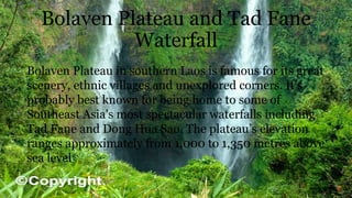 Bolaven Plateau and Tad Fane
Waterfall
Bolaven Plateau in southern Laos is famous for its great
scenery, ethnic villages and unexplored corners. It’s
probably best known for being home to some of
Southeast Asia's most spectacular waterfalls including
Tad Fane and Dong Hua Sao. The plateau’s elevation
ranges approximately from 1,000 to 1,350 metres above
sea level
 