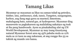 Yamang Likas
Myanmar ay mayaman sa likas na yaman tulad ng petrolyo,
timber, lata, antimonyo, sink, tanso, Tungsten, nangunguna,
karbon, ang ilang mga gawa sa marmol, limestone,
mahalagang bato, natural gas, at hydropower. Myanmar ding
masuwerte sa pagkakaroon ng malalaking nakatayo ng teak
at iba pang handwoods. Ayon sa pinakahuling ulat ng UN
World Development, Myanmar ay may isang tinantyang
natural Myanmar forest area ng 43% pababa mula sa 12%
mula sa 10 taon na ang nakaraan, at ang ranggo ika-33 sa
tuktok ng mundo 100 bansa.
 