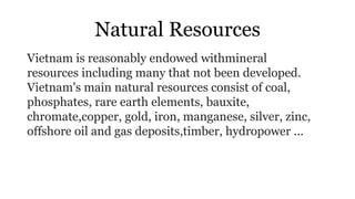 Natural Resources
Vietnam is reasonably endowed withmineral
resources including many that not been developed.
Vietnam's main natural resources consist of coal,
phosphates, rare earth elements, bauxite,
chromate,copper, gold, iron, manganese, silver, zinc,
offshore oil and gas deposits,timber, hydropower ...
 