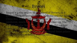 Brunei
Brunei is a tiny nation on the island of Borneo, in 2
distinct sections surrounded by Malaysia and the South
China Sea. It's known for its beaches and biodiverse
rainforest, much of it protected within reserves. The
capital, Bandar Seri Begawan, is home to the opulent
Jame’Asr Hassanil Bolkiah mosque and its 29 golden
domes. The capital's massive Istana Nurul Iman palace
is the residence of Brunei’s ruling sultan.
 