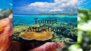 Tourist
Attractions
 
