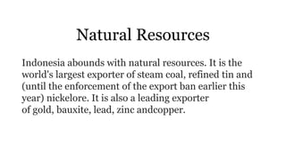 Natural Resources
Indonesia abounds with natural resources. It is the
world's largest exporter of steam coal, refined tin and
(until the enforcement of the export ban earlier this
year) nickelore. It is also a leading exporter
of gold, bauxite, lead, zinc andcopper.
 