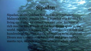 Sipadan
Sipadan, in the Celebes Sea, is a diver’s paradise.
Malaysia’s only oceanic island, Sipadan was formed by
living coral atop an extinct volcano cone. Because of
rich marine life, it’s one of the best diving spots in the
world. Sipadan has more than 3,000 species of fish and
hundreds of different corals, all waiting to be explored.
Divers may come across hawksbill and green turtles,
manta rays, schools of barracudas and whale sharks.
 