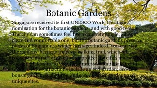 Botanic Gardens
Singapore received its first UNESCO World Heritage
nomination for the botanic gardens, and with good reason.
The city can sometimes feel like a concrete jungle, albeit a
clean and comfortable one, but the botanic gardens preserve
pieces of Singapore's wilder heritage. Indeed, you can visit
the gardens' heritage trees via walking trail, which are
conserved as part of an effort to protect the city's mature tree
species. Make sure to visit the impressive National Orchid
Garden. Other attractions include an eco-garden, eco-lake,
bonsai garden, sculptures, and several other gardens and
unique sites.
 