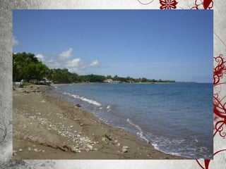 Sessão sobre Timor 2006-2012