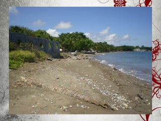 Sessão sobre Timor 2006-2012