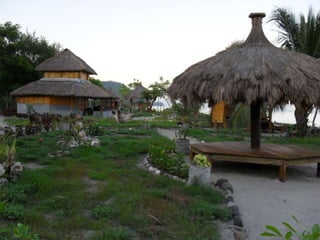 Sessão sobre Timor 2006-2012