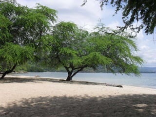 Sessão sobre Timor 2006-2012