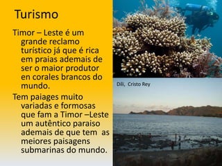 TurismoTimor – Leste é um grande reclamo turístico já que é rica em praias ademais de ser o maior produtor en corales brancos do mundo.Tem paiages muito variadas e formosas que fam a Timor –Leste um autêntico paraiso ademais de que tem  as meiores paisagens submarinas do mundo.Díli,  Cristo Rey