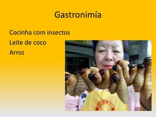 GastronimíaCocinha com insectosLeite de cocoArroz