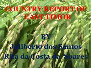 COUNTRY REPORT OF
EAST TIMOR
BY
Juliberto dos Santos
Rita da Costa da Soares
 